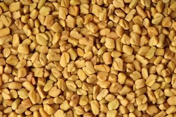 fenugreek extract powder .webp